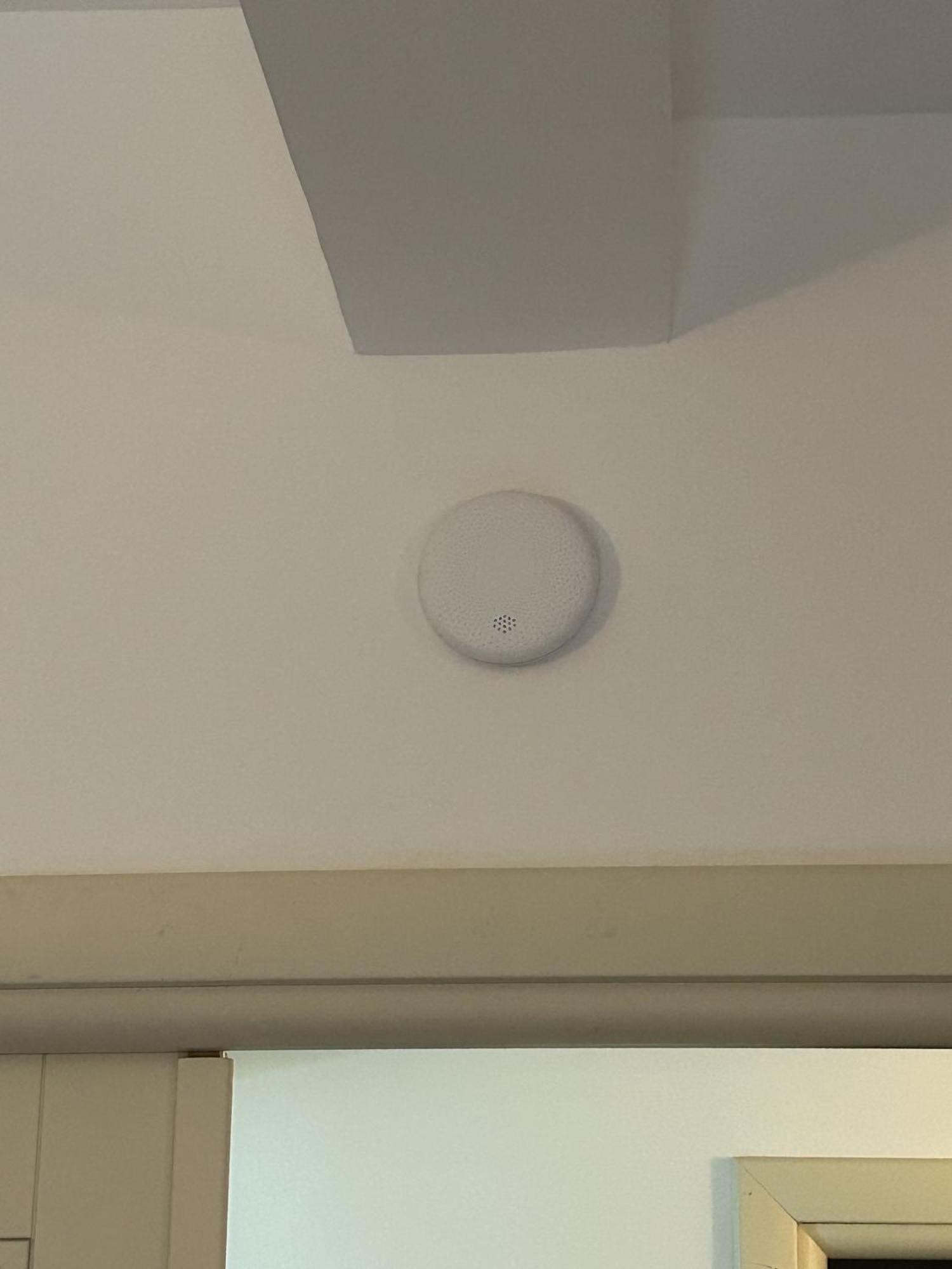 Trastevere Oasi Garden Apartment - Roma Dış mekan fotoğraf
